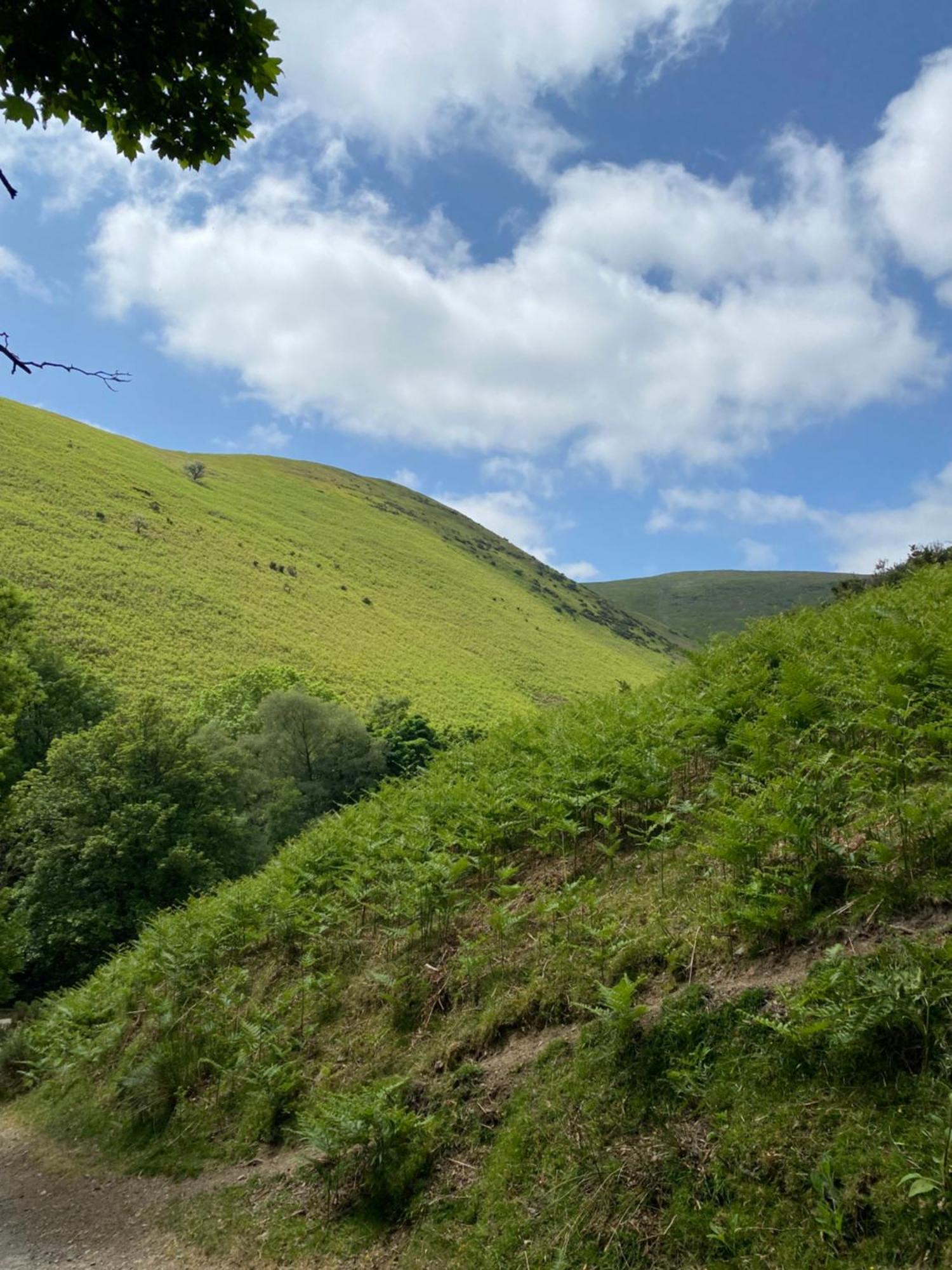 Pass The Keys Quaint 1 Bedroom Cottage In Church Stretton Exterior foto
